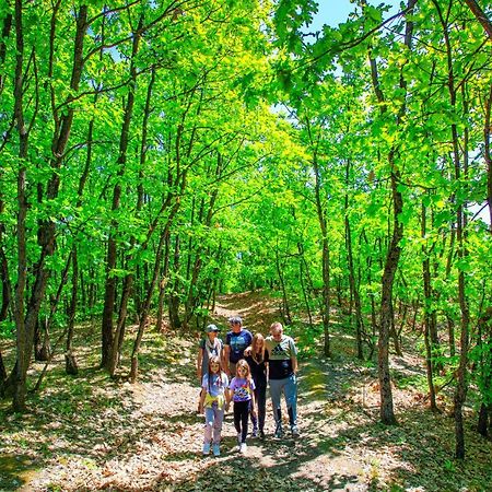 쿠르셰바츠 Amigosranch 빌라 외부 사진