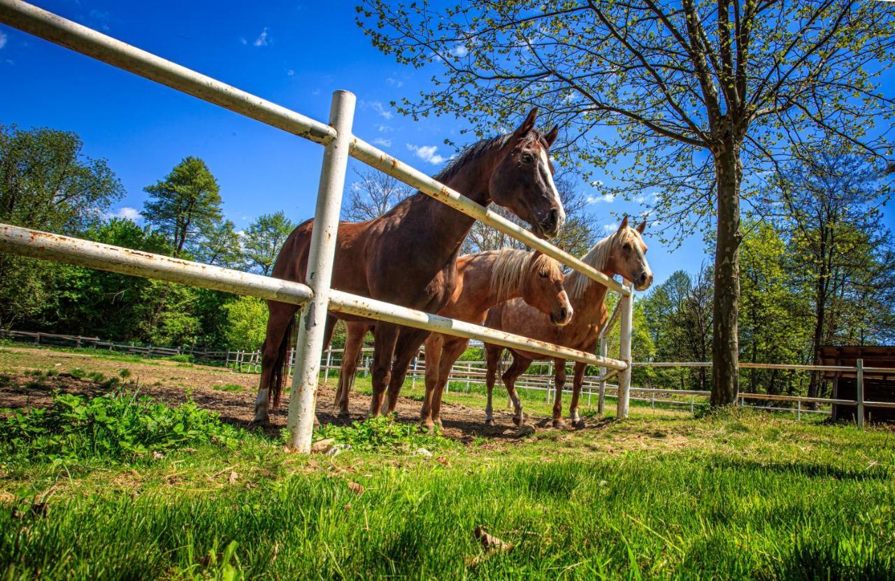 쿠르셰바츠 Amigosranch 빌라 외부 사진